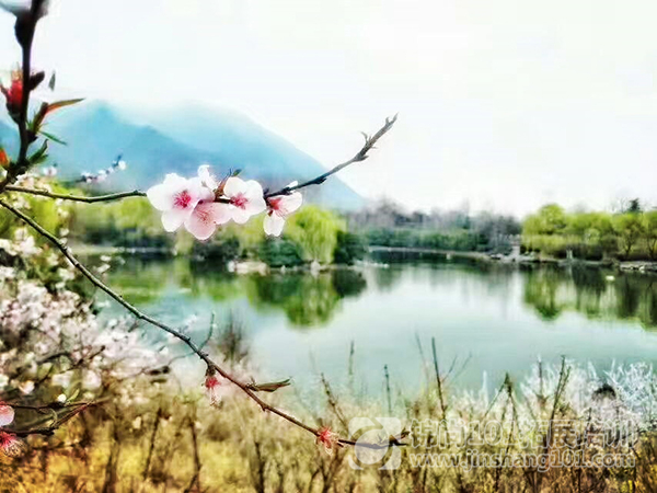 千贵商贸2017团建活动(图1)