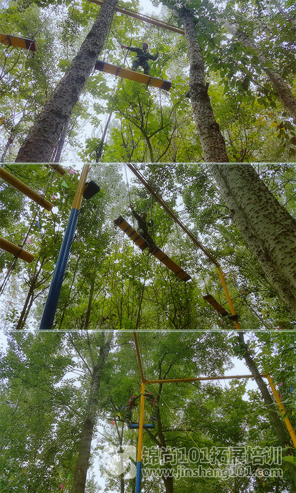 中国电信团队建设培训D4期(图2)