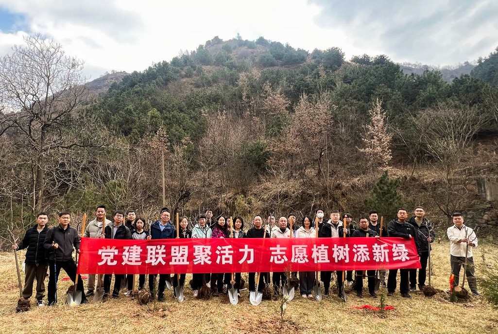 中建八局党建联盟植树活动