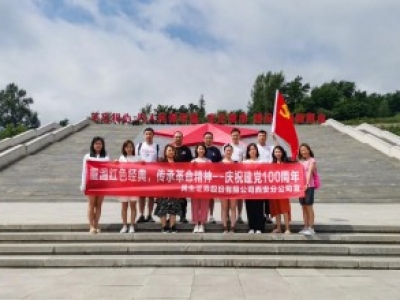 某公司党建主题活动