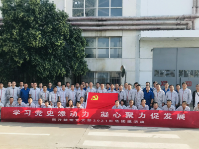 某公司红色党建活动 