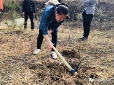 智适应盛龙校区植树节活动