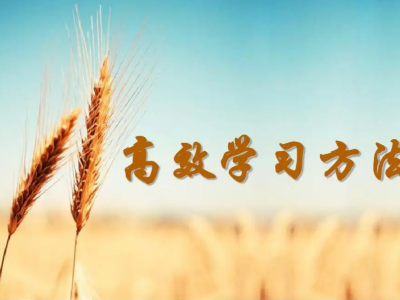 拓展培训师分享体验式学习方法