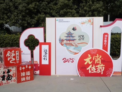 【MICE】西电集团元宵美食街区活动